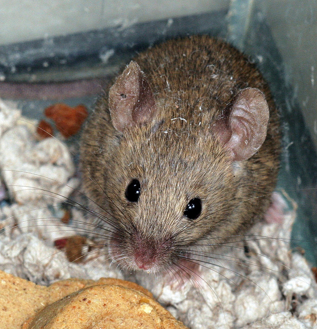 12073351374_14e03d0b1f_z