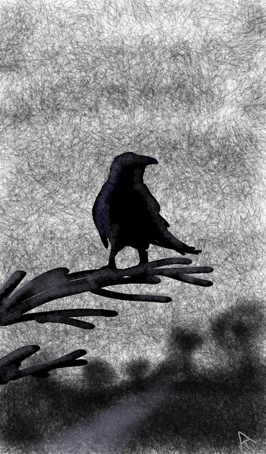 6429519811_fd1f6e0464_z