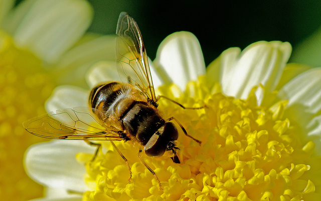 7882394788_a766583f35_z